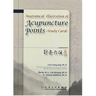 Anatomical Illustration of Acupuncture Points