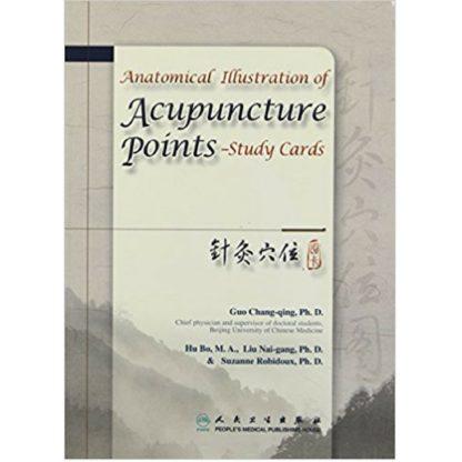 Anatomical Illustration of Acupuncture Points