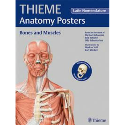 THIEME Anatomy Posters Bones and Muscles, Latin Nomeclature