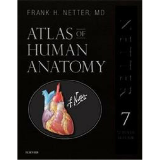 atlas of human anatomy netter 9780323554282