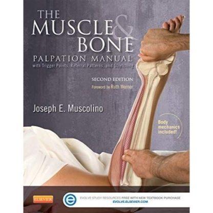 The Muscle and Bone Palpation Manual with Trigger Points, Referral Patterns and Stretching 9780323221962