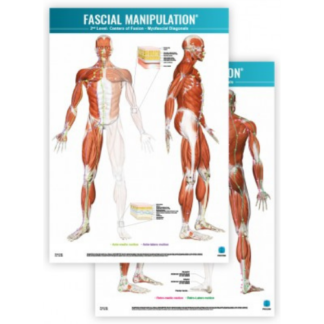 Faskia kartta FASCIAL-MANIPULATION-2nd-Level-Poster-Centers-of-Fusion-Myofascial-Diagonals