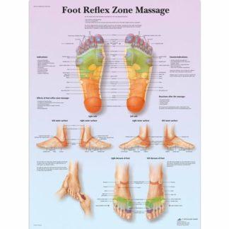 VR1810L_01_Foot-Reflex-Zone-Massage-Chart