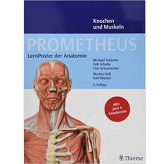 Thieme anatomia kartta 9781626235373