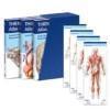 THIEME Atlas of Anatomy, Latin Nomenclature, Three Volume Set, Third Edition 9781684204533