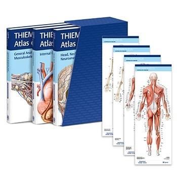 THIEME Atlas of Anatomy, Latin Nomenclature, Three Volume Set, Third Edition 9781684204533